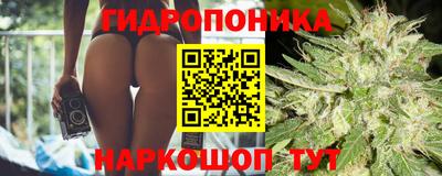 apvp Гай