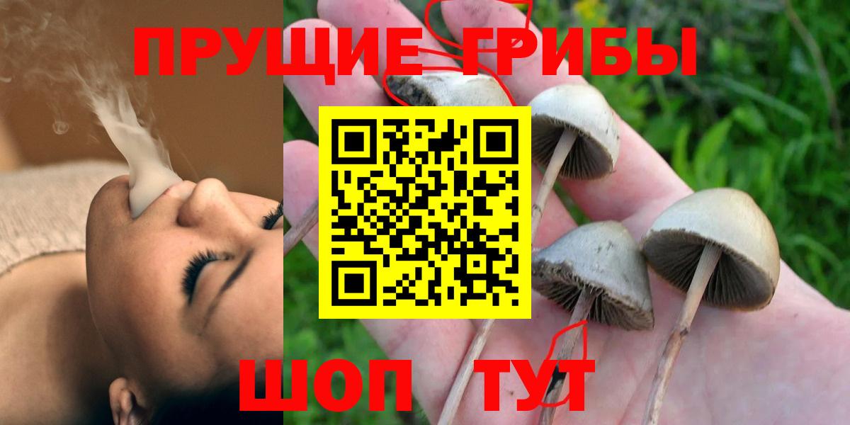 сколько стоит  Галлюциногенные грибы Cubensis  Галлюциногенные грибы прущие грибы  Вход с VPN  Междуреченск 